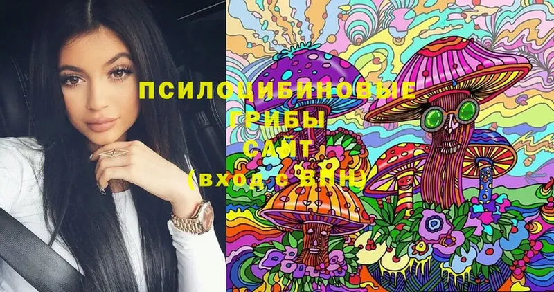 Галлюциногенные грибы Magic Shrooms  Вятские Поляны 